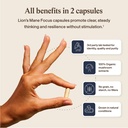real-mushrooms-lion-s-mane-focus-capsule-6.jpg