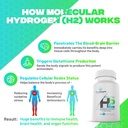essential-h2-fizzy-molecular-hydrogen-ta-4.jpg