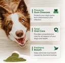 dog-teeth-cleaning-powder---fortify-dent-3.jpg