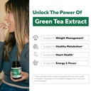 soactive-green-tea-extract-clinically-st-4.jpg