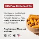 nutreb-berberine-supplement-1200mg-5x-hi-2.jpg