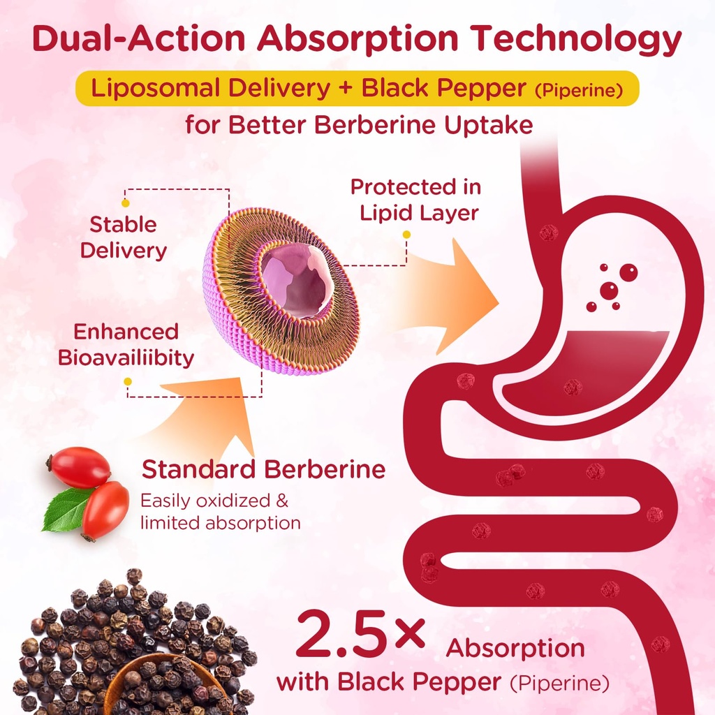 2000mg-liposomal-berberine-supplement-gu-4.jpg