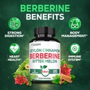 satoomi-berberine-1500mg-supplement-with-4.jpg