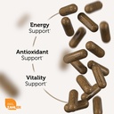 zahler-shilajit-capsules-500-mg-himalaya-5.jpg