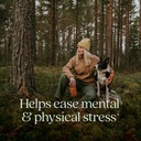 new-chapter-organic-ashwagandha-suppleme-2.jpg