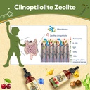 zeolite-detox-for-kids-detox-supplement--5.jpg