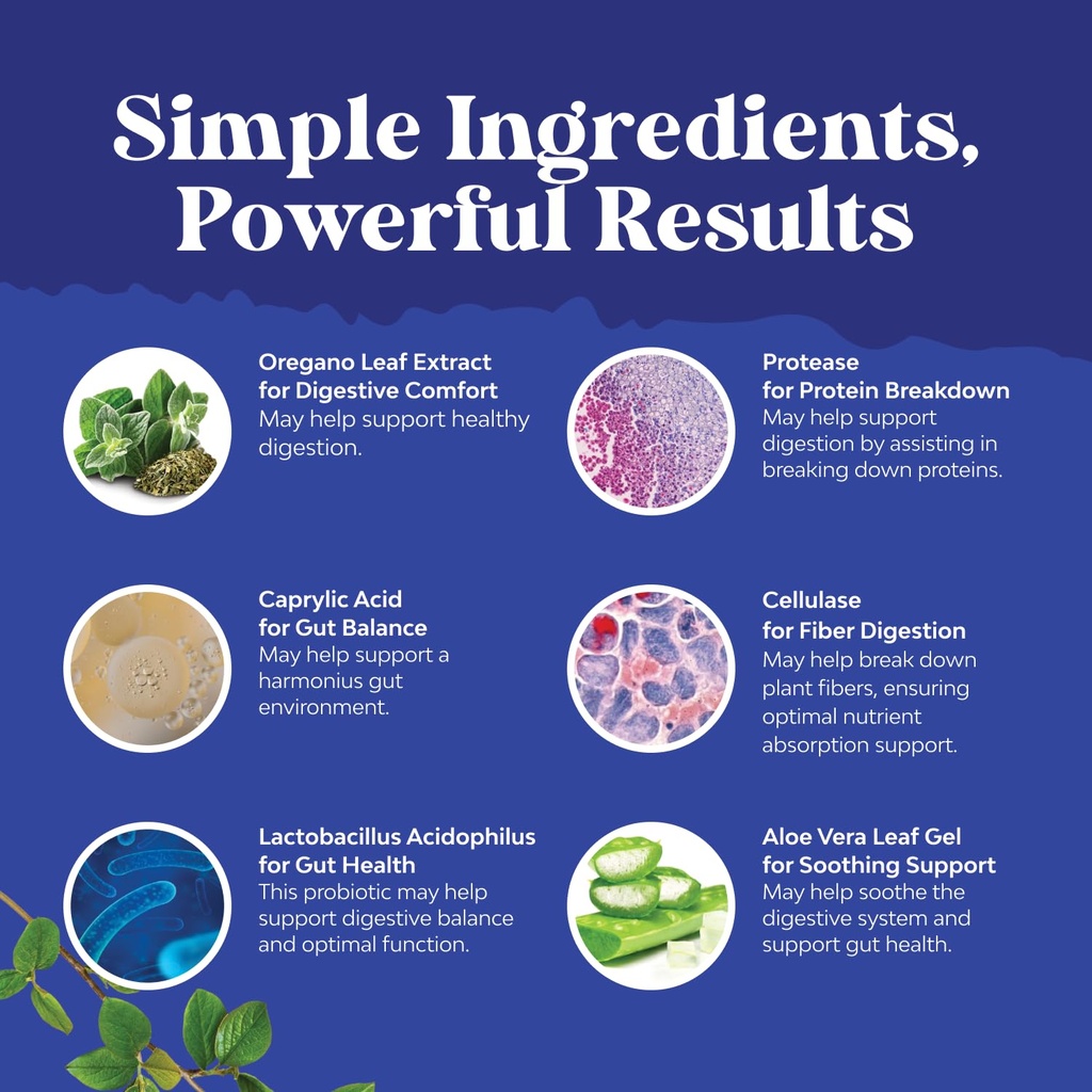candi-clear-body-cleanse-detox-for-women-6.jpg
