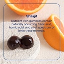 trace-minerals-shilajit-gummies-chewable-2.jpg