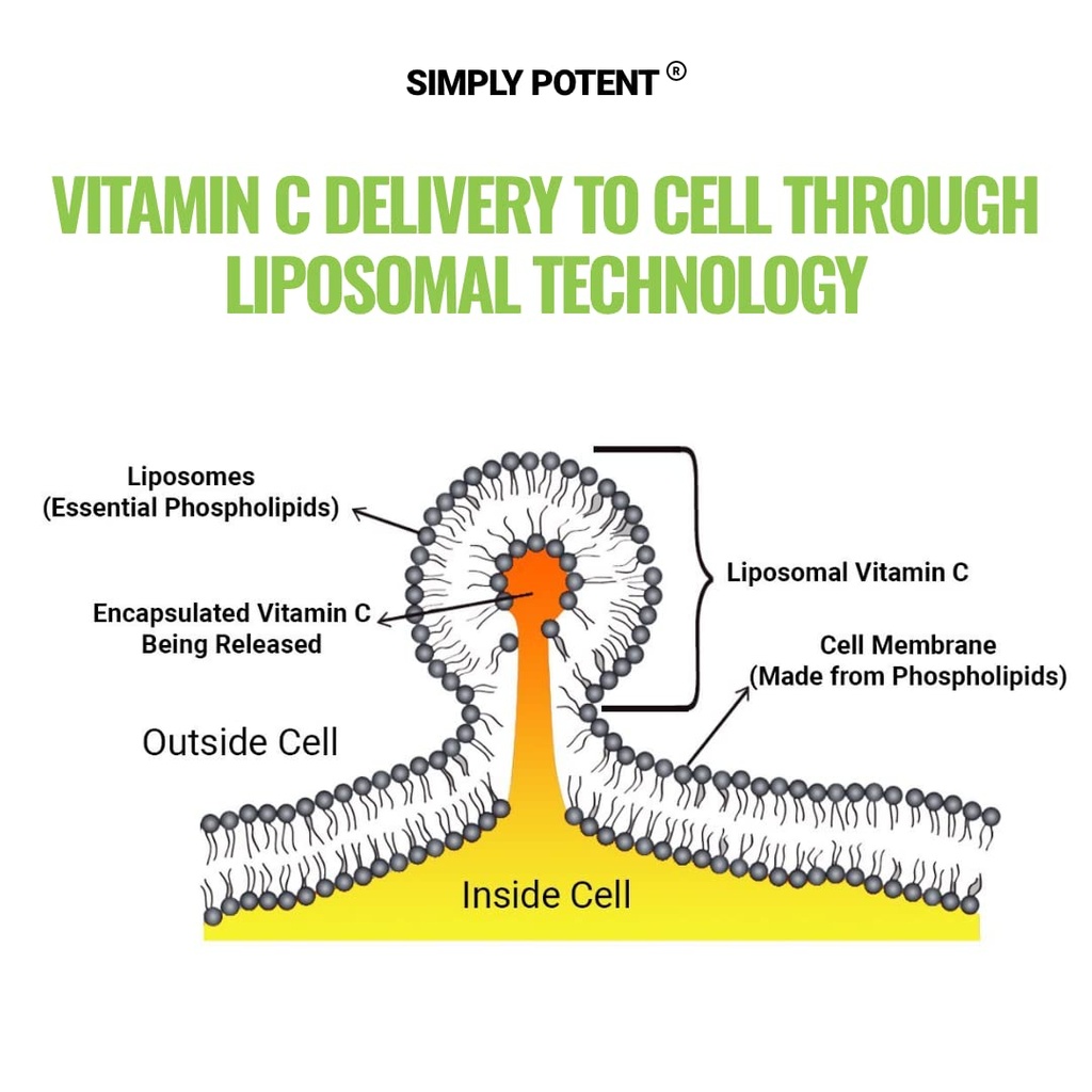 simply-potent-liposomal-vitamin-c-1200mg-5.jpg