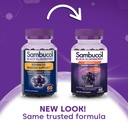 sambucol-black-elderberry-gummies---elde-2.jpg