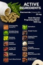 brain-booster-38-factor-premium-herbal-v-4.jpg
