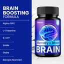 brain-memory-and-mood-capsules-memory-mo-3.jpg