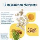 researched-nutritionals-energy-multi-ple-3.jpg