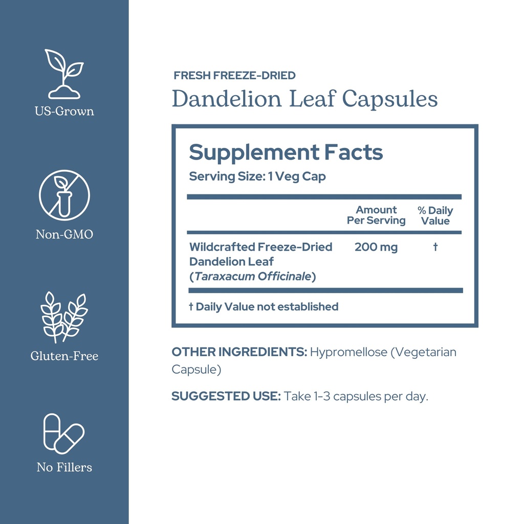 eclectic-herb-raw-freeze-dried-dandelion-2.jpg