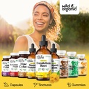 wild-organic-dandelion-root-extract-drop-5.jpg