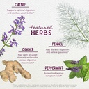 wishgarden-herbs-digestive-rescue-organi-4.jpg