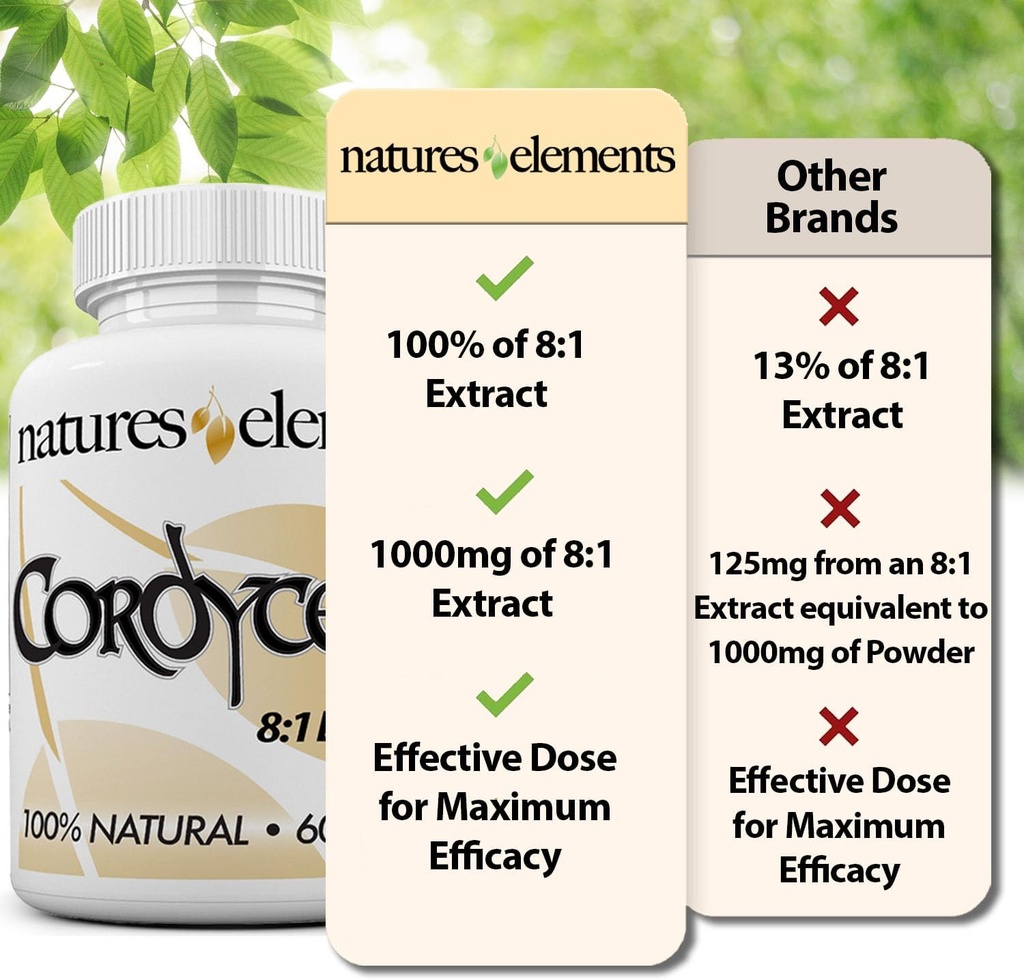 cordyceps-mushroom-81-extract-1000mg-per-5.jpg