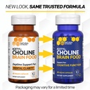 acetylcholine-brain-food-acetyl-l-carnit-3.jpg