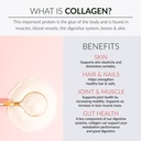 alaya-multi-collagen-powder-type-i-ii-ii-5.jpg