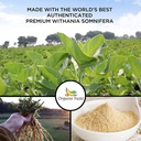 organic-veda-ashwagandha-root-powder-16o-6.jpg