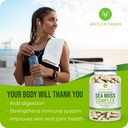 antler-farms-100-pure-sea-moss-complex-1-6.jpg