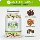 antler-farms-100-pure-sea-moss-complex-1-5.jpg