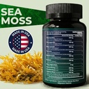 sea-moss-black-seed-oil-ashwagandha-ging-3.jpg