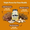 american-standard-supplements-organic-se-4.jpg