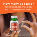 infinite-age-1250mg-sea-moss-advanced-su-5.jpg