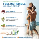 power-by-naturals-sea-moss-plus-usda-org-3.jpg