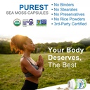 power-by-naturals-sea-moss-plus-usda-org-6.jpg