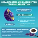 lilicare-gaba-supplement-1000-mg-liposom-5.jpg