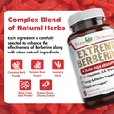 extreme-berberine-500mg-complex-with-ala-3.jpg