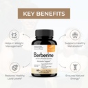 sandhu-s-berberine-hcl-supplement-500mg--4.jpg