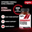 agobi-berberine-supplements-500mg-with-g-3.jpg