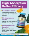 terranics-5-in-1-magnesium-complex-suppl-2.jpg