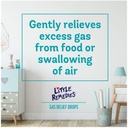 little-remedies-gas-relief-drops-natural-5.jpg