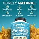 nutrivein-organic-sea-moss-1600mg-plus-b-6.jpg