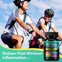 sea-moss-black-seed-oil-ashwagandha-ging-3.jpg