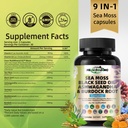 sea-moss-capsules-wildcrafted-organic-ir-2.jpg