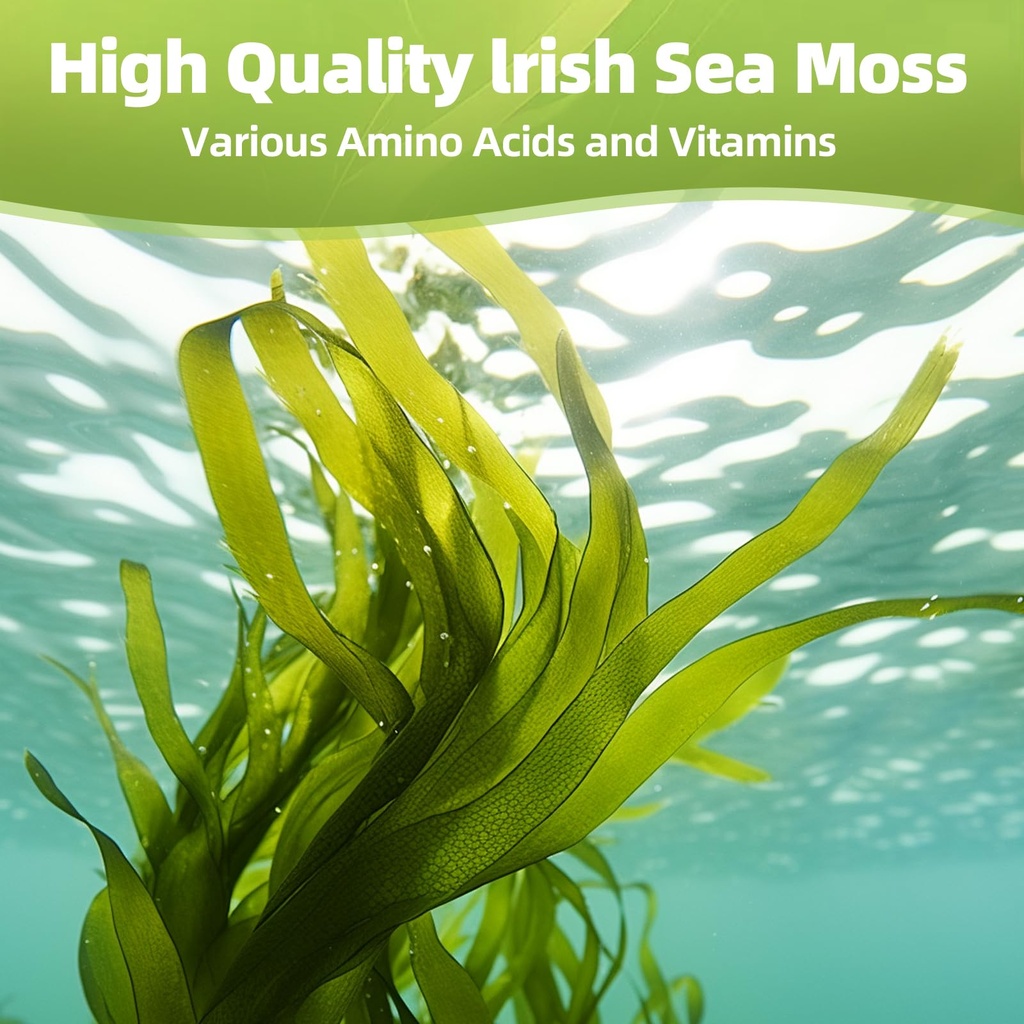 sea-moss-capsules-wildcrafted-organic-ir-5.jpg