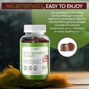organic-irish-sea-moss-gummies-burdock-r-5.jpg