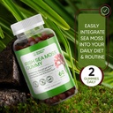 organic-irish-sea-moss-gummies-burdock-r-6.jpg