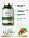 carlyle-plant-sterols-supplement-1200-mg-4.jpg