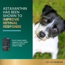 vetriscience-eye-vision-health-chews-for-3.jpg
