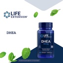life-extension-dhea-60-100-capsules-for--4.jpg