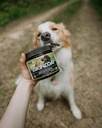 flora---bioskincoat-formula---premium-ca-5.jpg