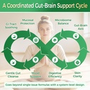 greenpeople-digestive-enzymes-for-women--3.jpg