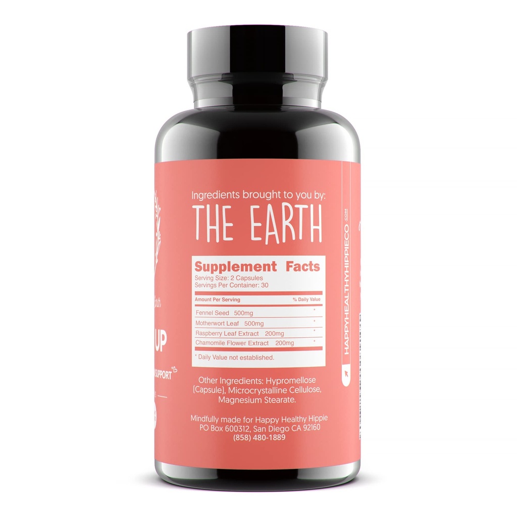 happy-healthy-hippie-pump-it-up-lactatio-3.jpg