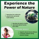soursop-liquid-drops-10-in-1-with-sea-mo-3.jpg